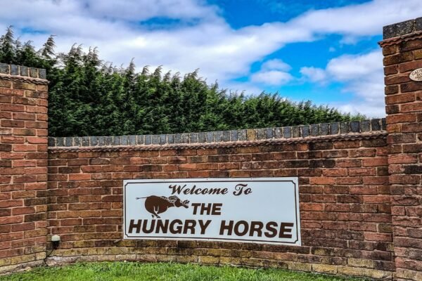Hungry Horse