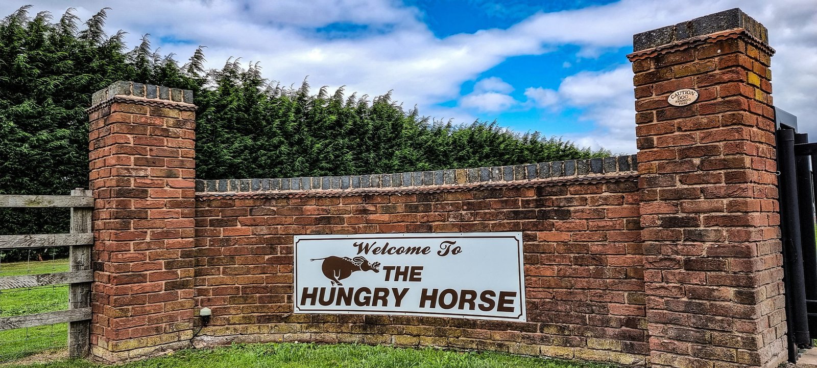 Hungry Horse